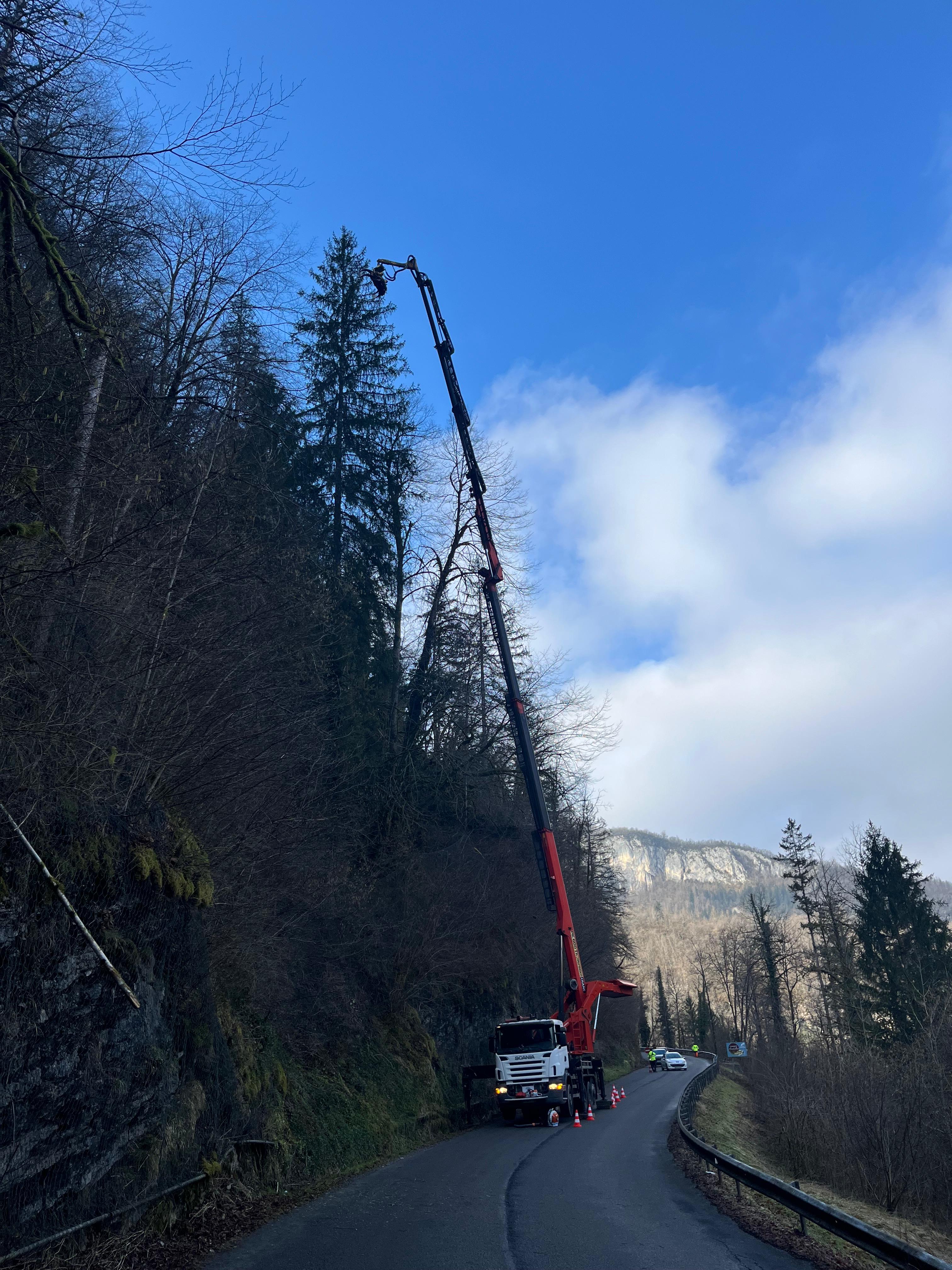 Sécurisation de route par abattage d'arbres dans le Jura — SAS POLYVIER